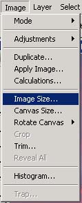 picture of menu showing the 'image-size' item
