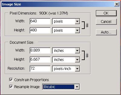 picture of image size dialog box